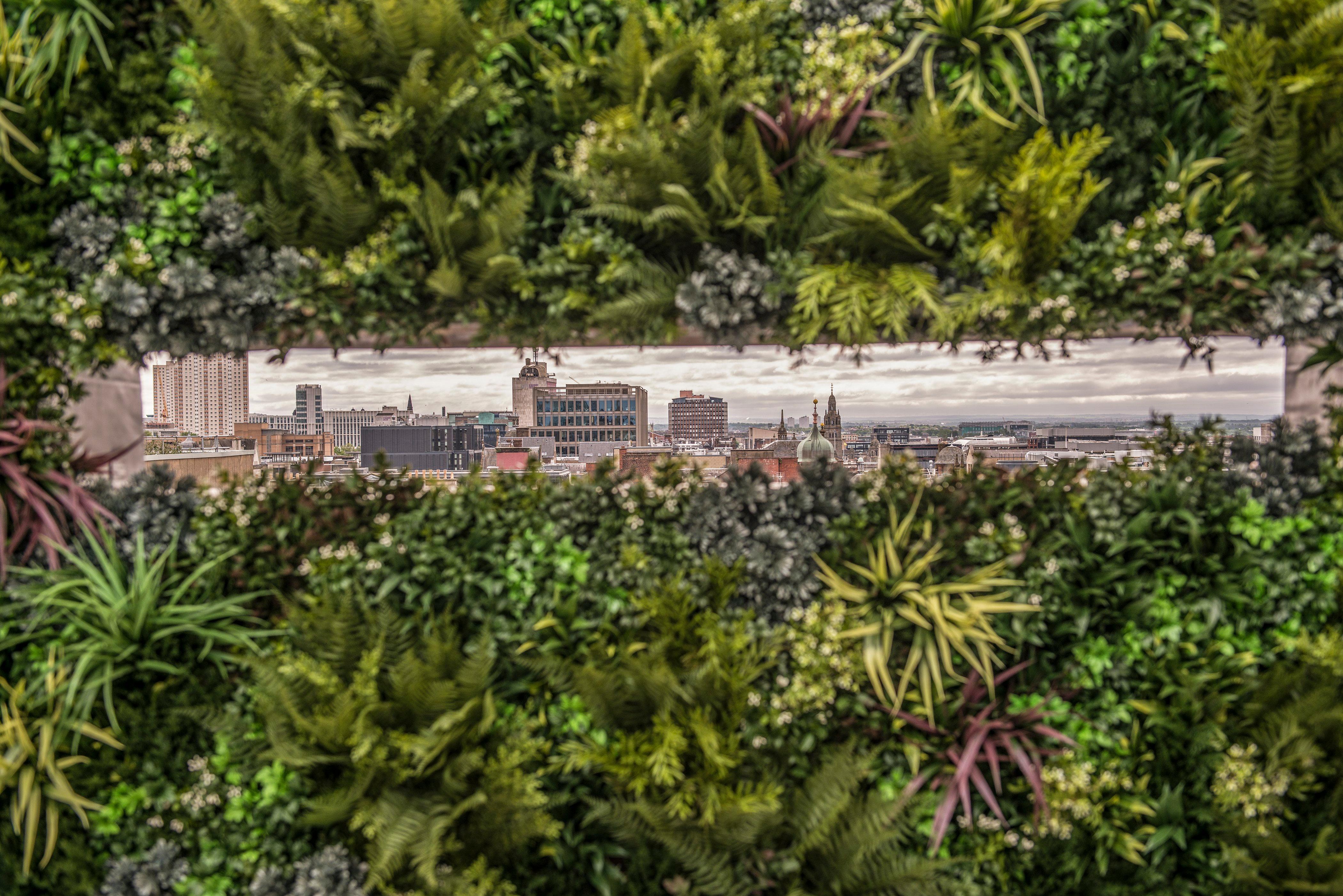 Kimpton Blythswood Square Hotel & Spa By Ihg Glasgow Luaran gambar The green wall at the 100 East 53rd Street building